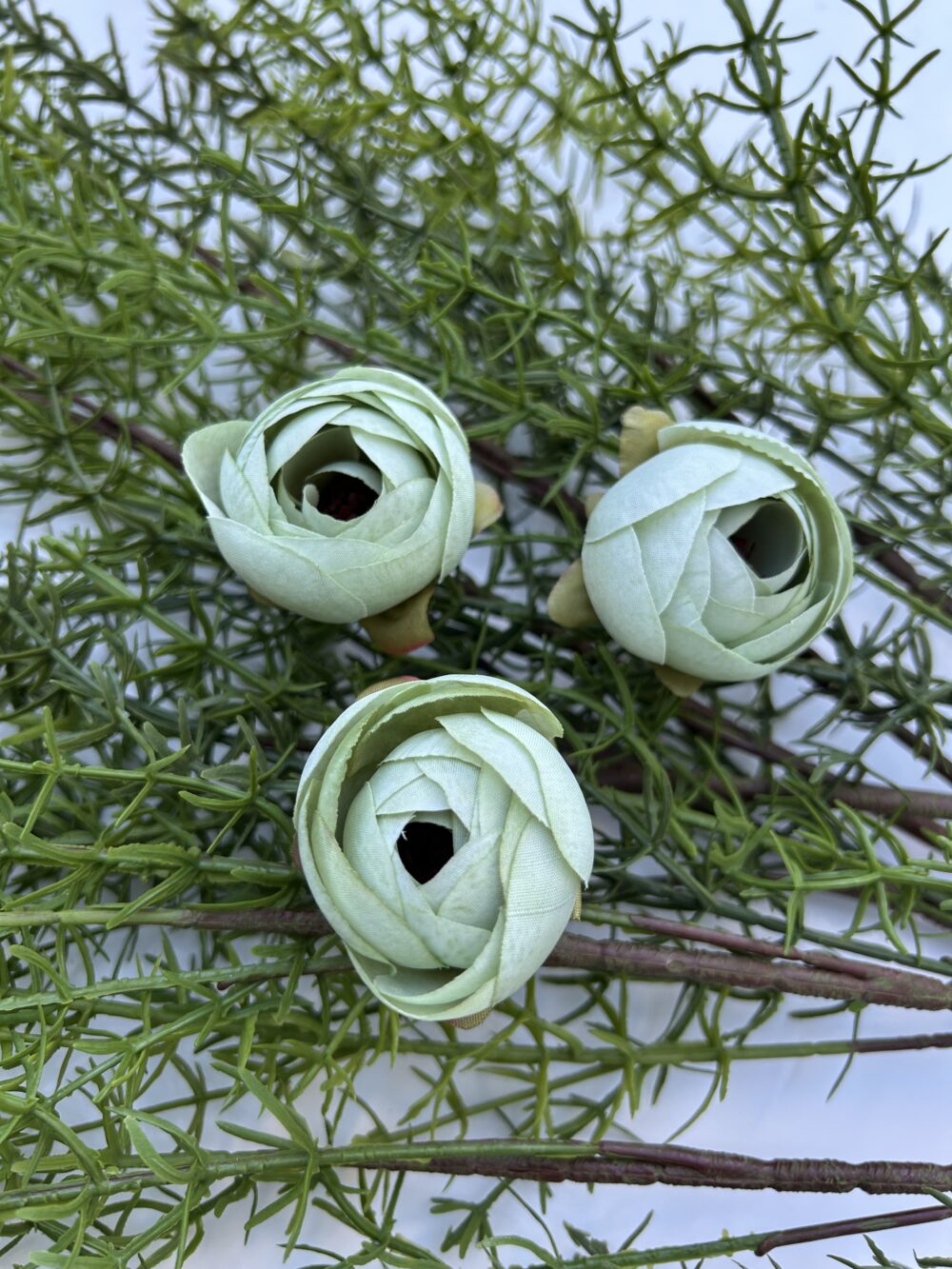 Ронункулюс зелений