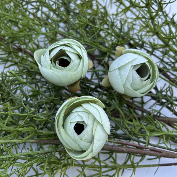 Ронункулюс зелений