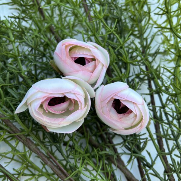 Ронункулюс амбре