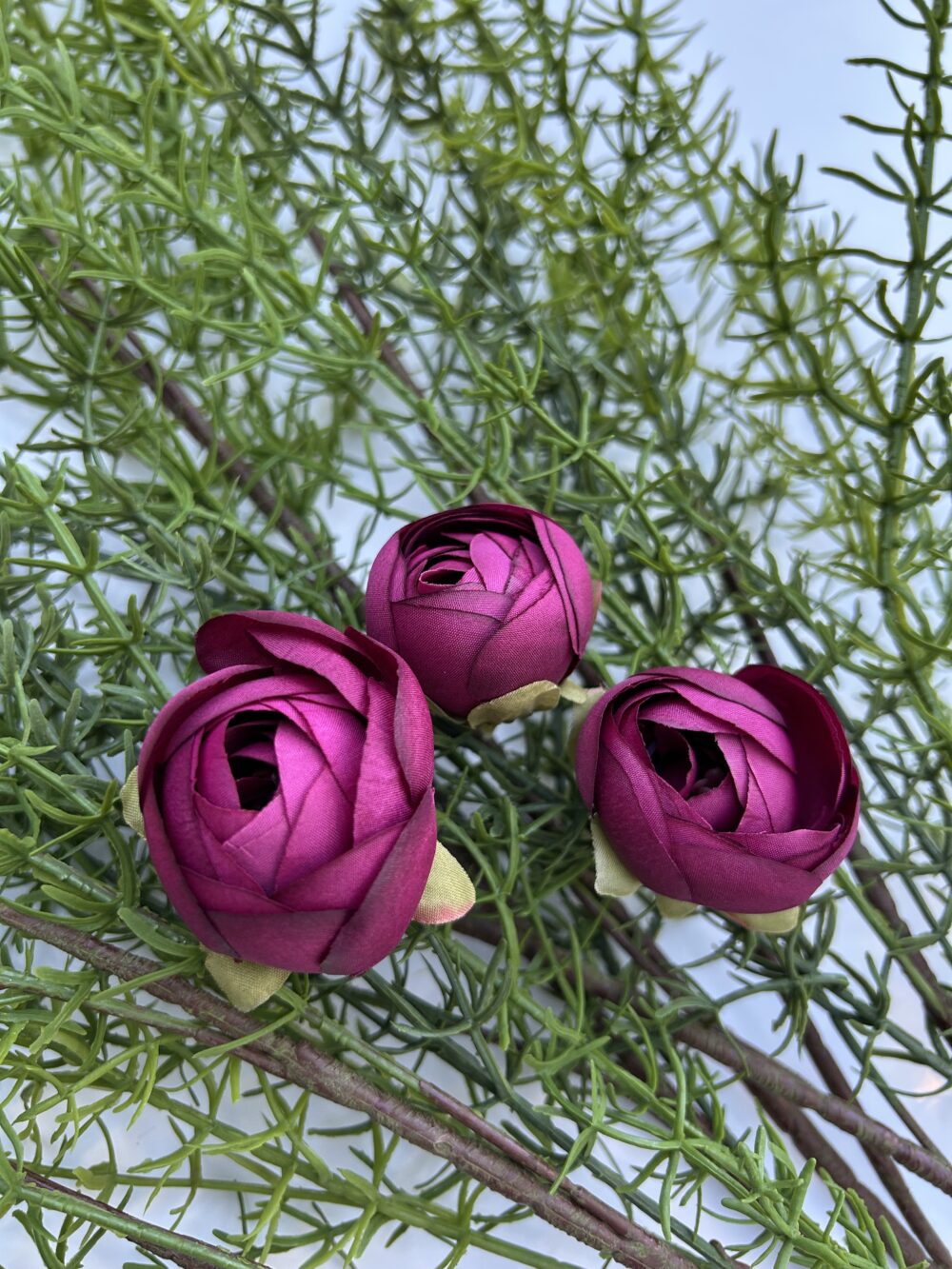 Ронункулюс малиновий