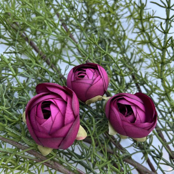 Ронункулюс малиновий