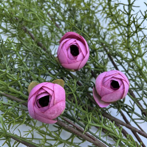 Ронункулюс малинова