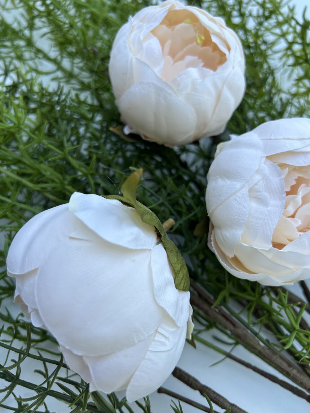 Голова піона шампань - Зображення 2