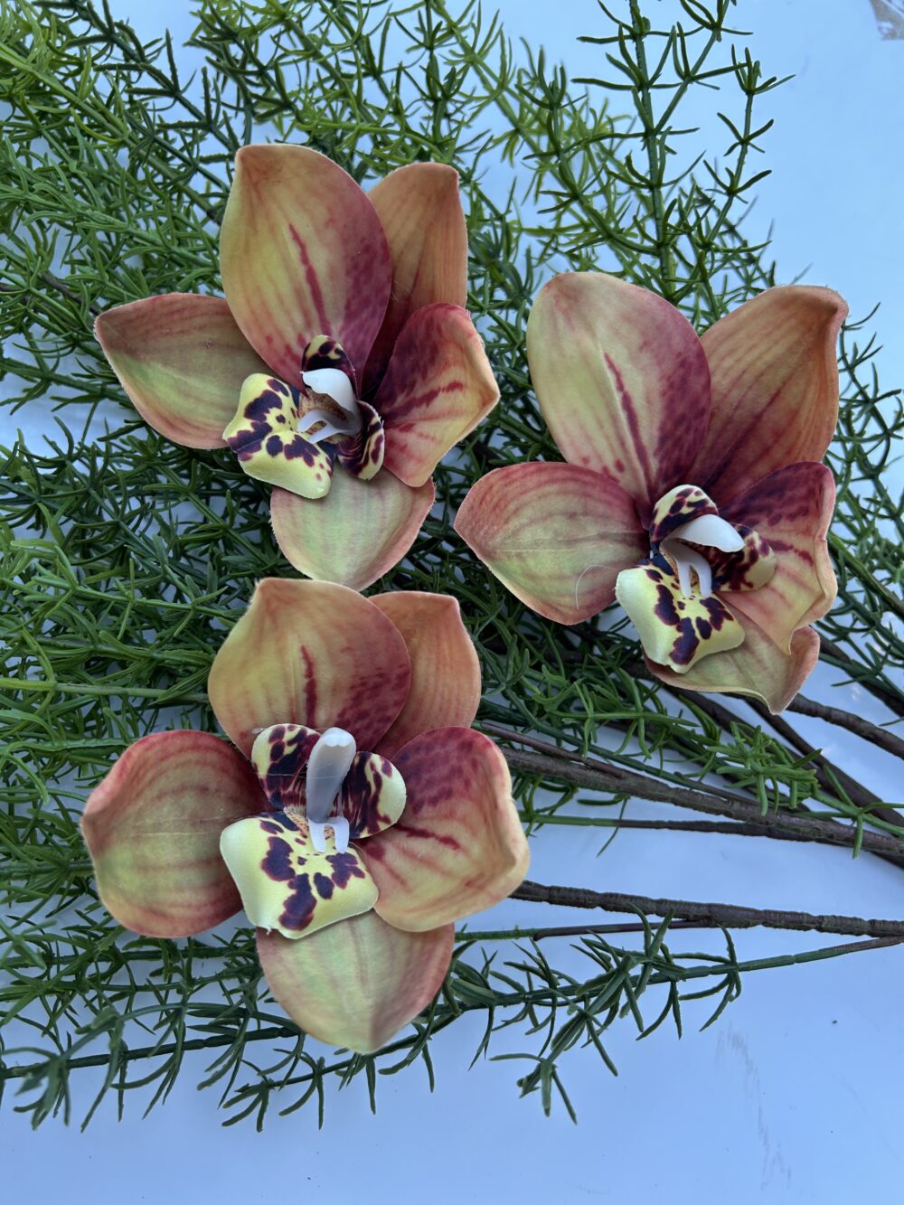 Цимбидіум амбре xxl - Зображення 2