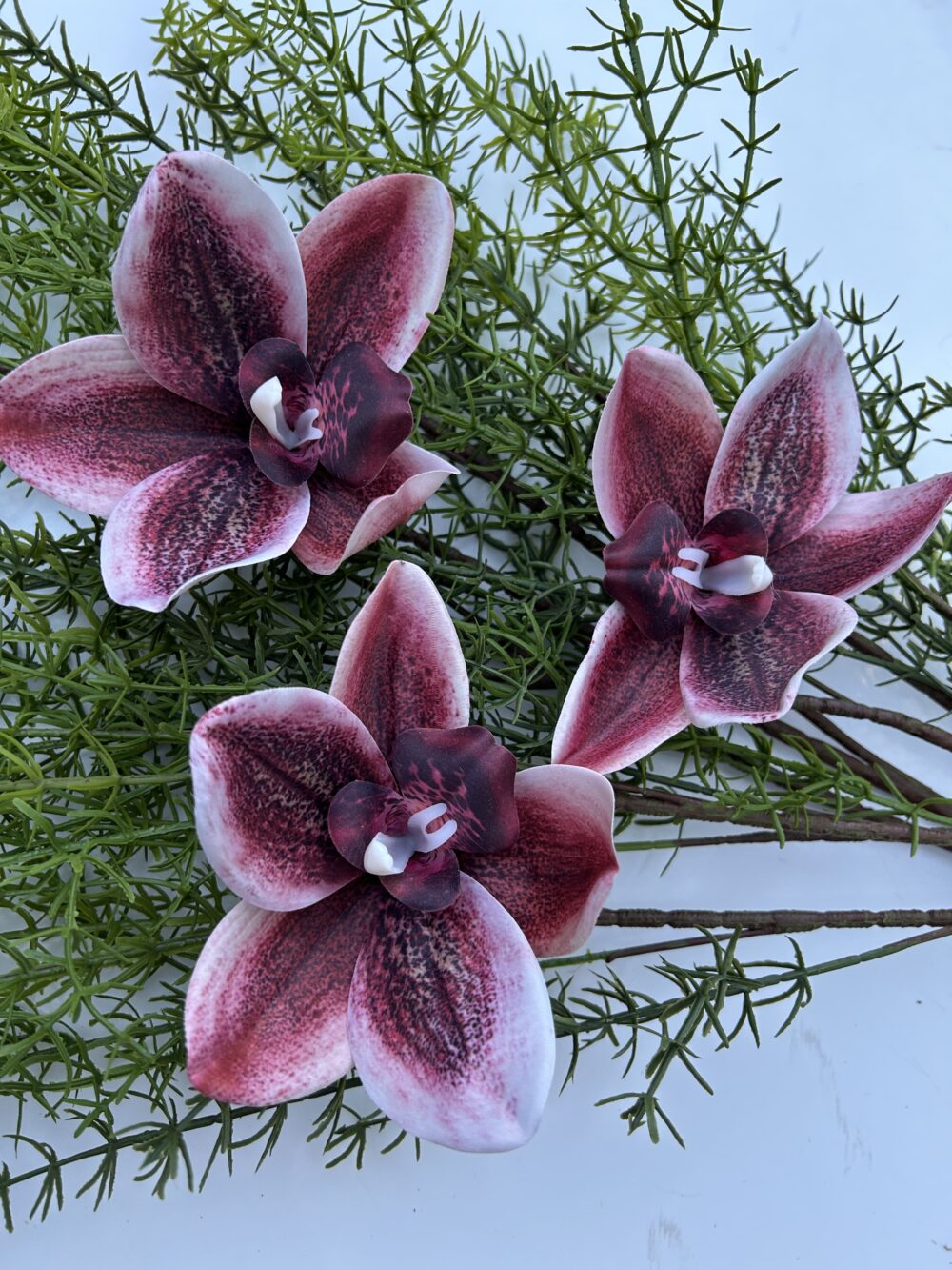 Цимбидіум бордо xxl