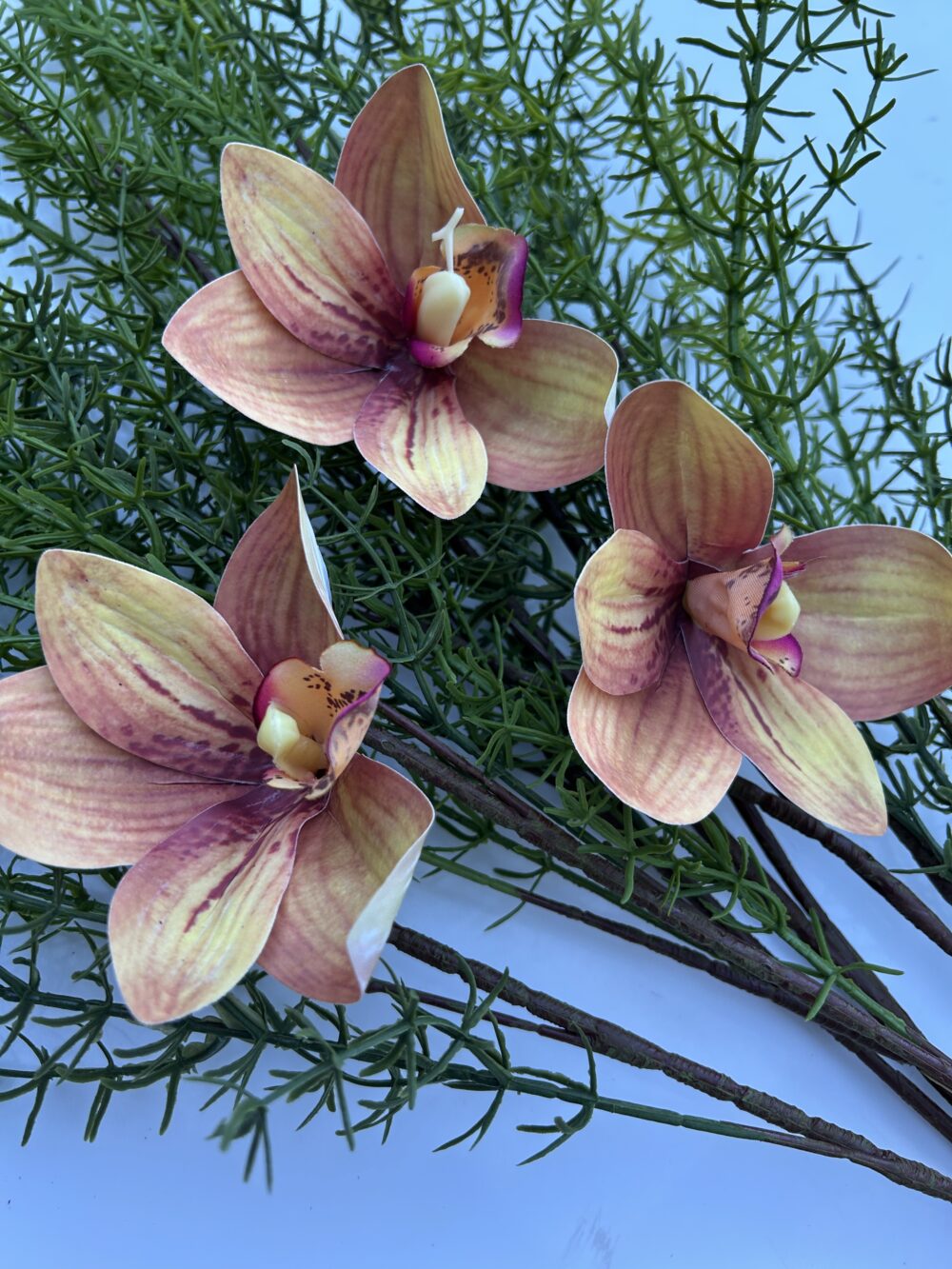 Цимбидіум амбре xl