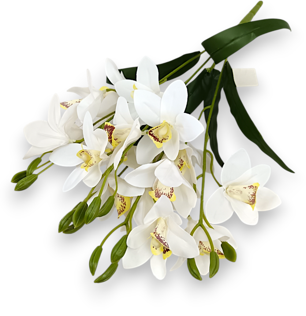 Букет Орхідей Цимбідіум (біла)