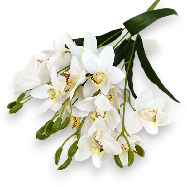 Букет Орхідей Цимбідіум (біла)