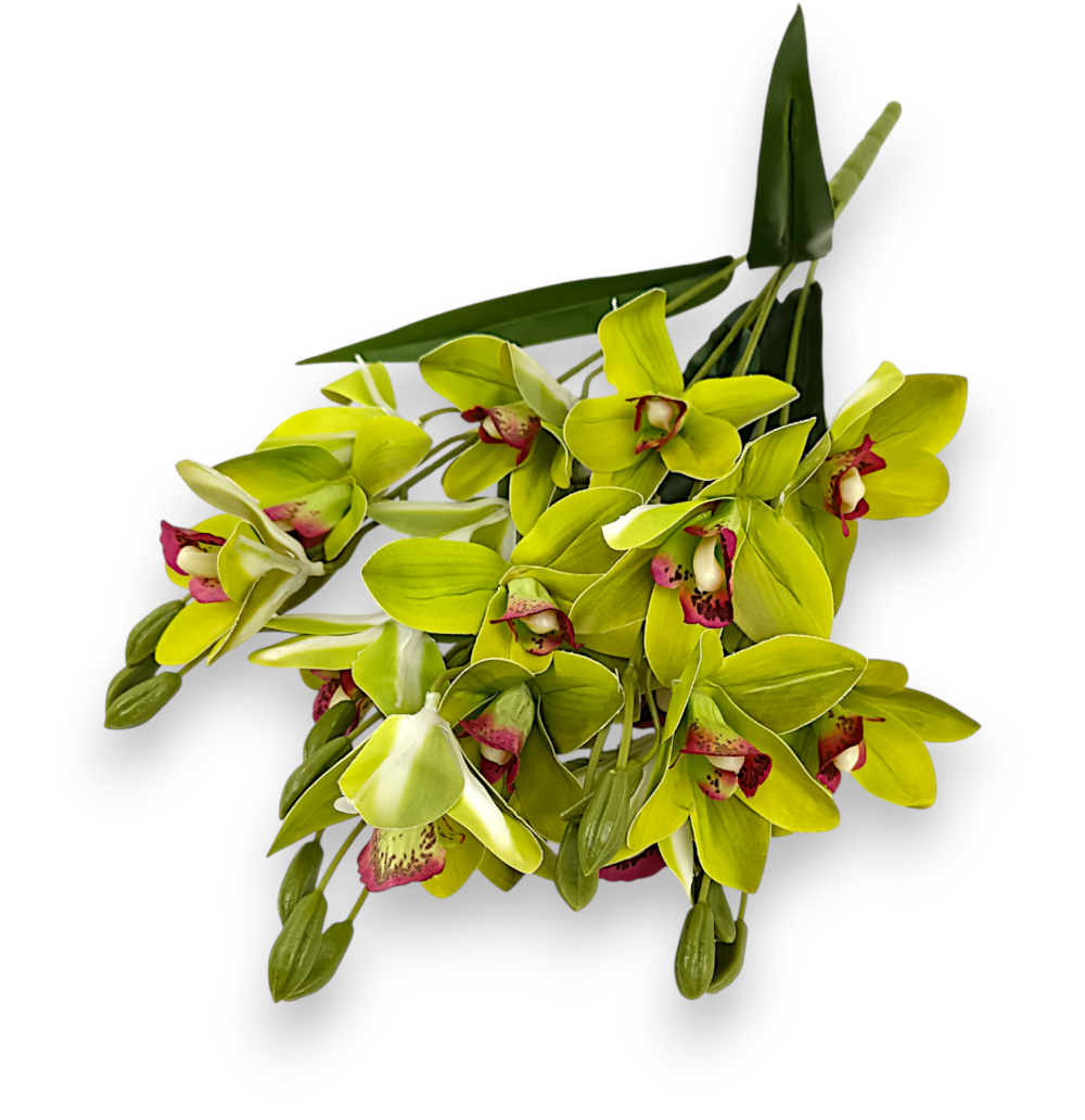 Букет Орхідей Цимбідіум (зелена)