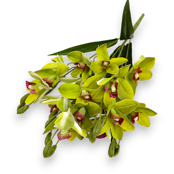 Букет Орхідей Цимбідіум (зелена)