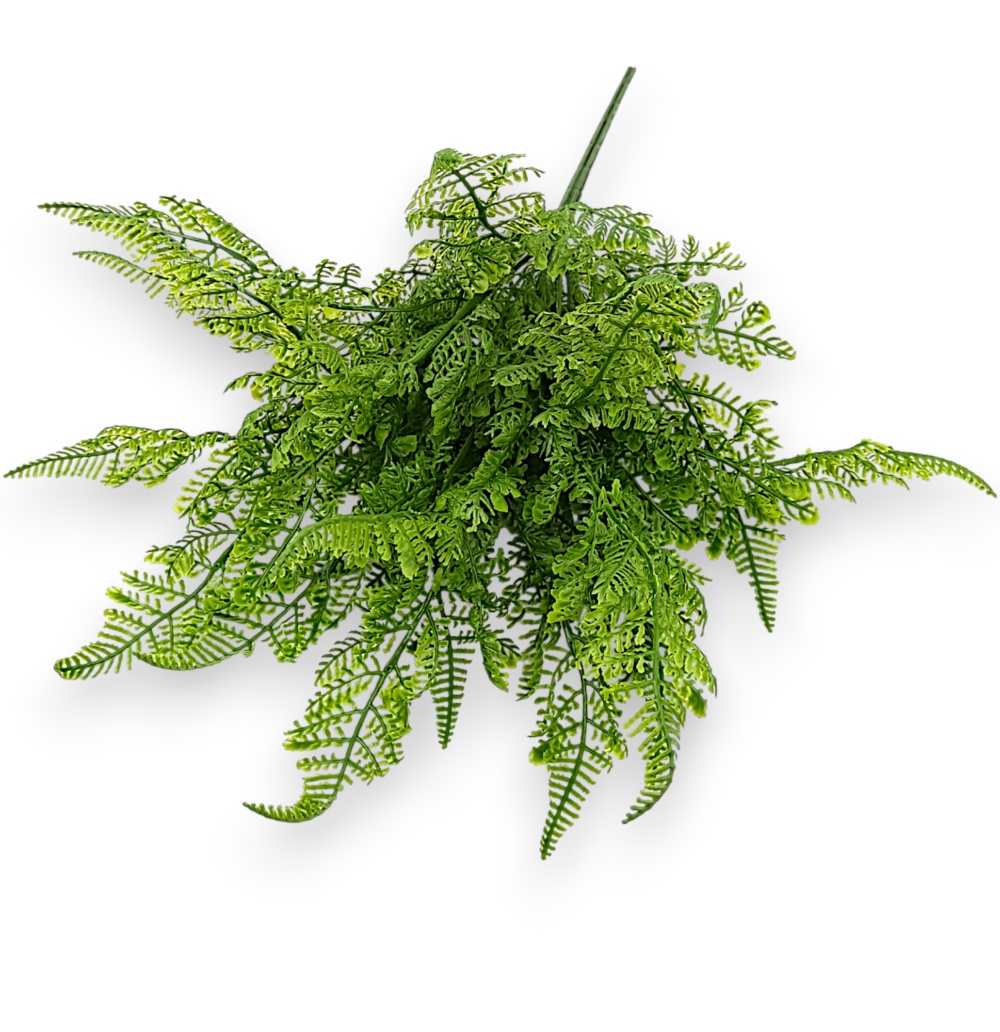 Папороть гелева