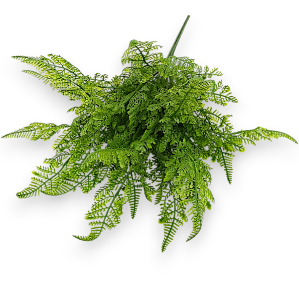 Папороть гелева