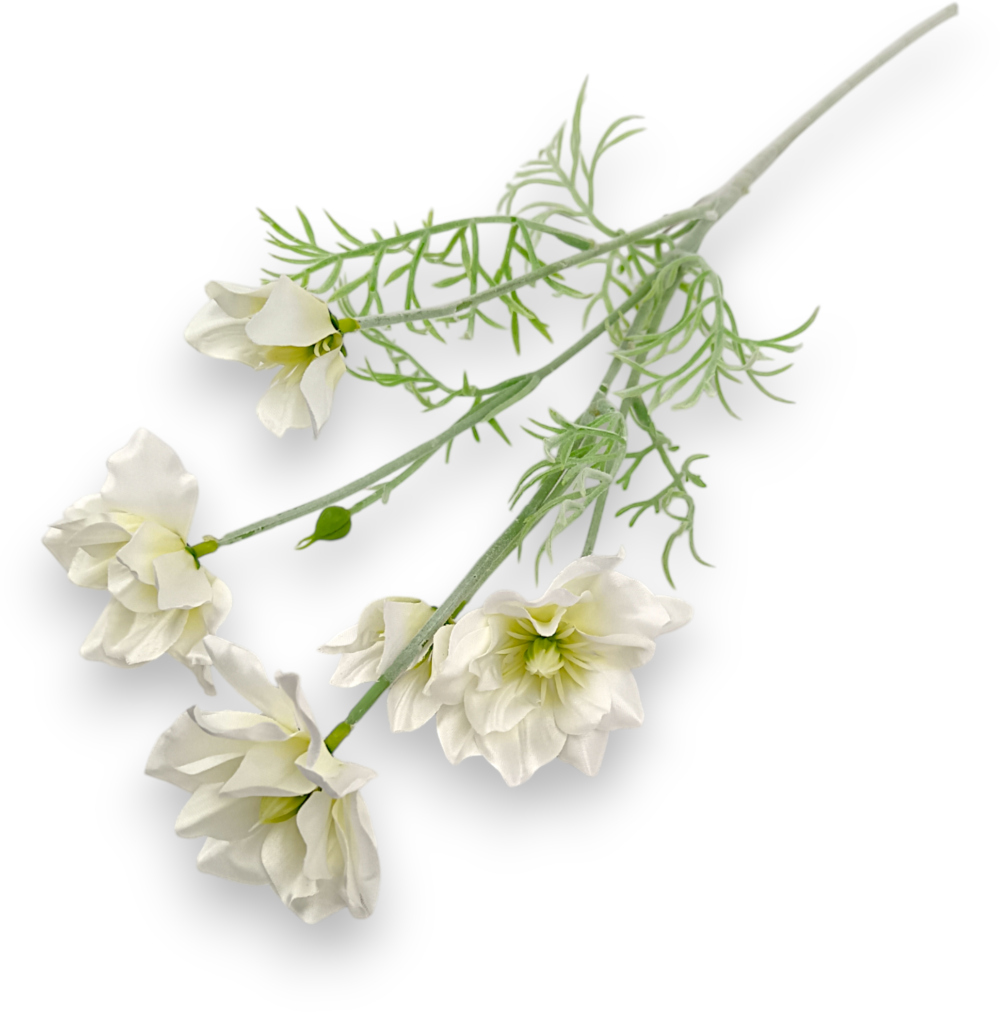 Гілка Сон-трави біла