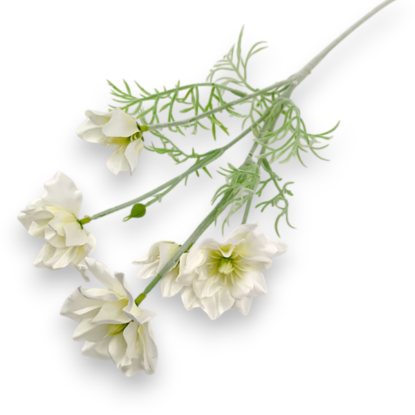 Гілка Сон-трави біла