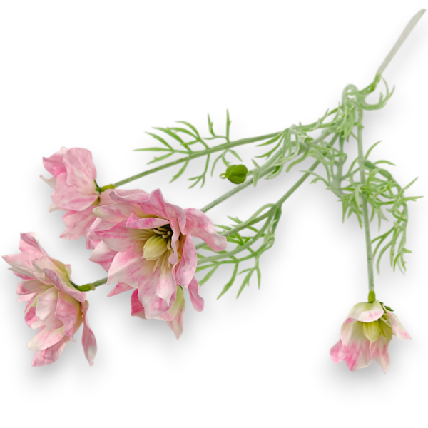 Гілка Сон-трави рожева