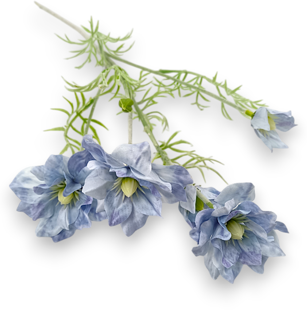 Гілка Сон-трави голуба