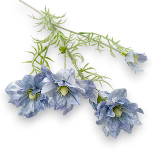 Гілка Сон-трави голуба