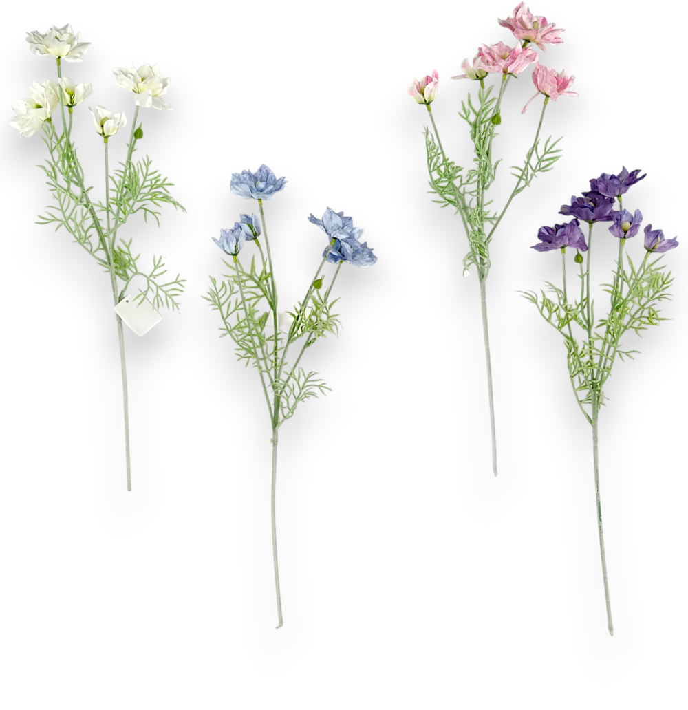 Гілка Сон-трави голуба - Зображення 2