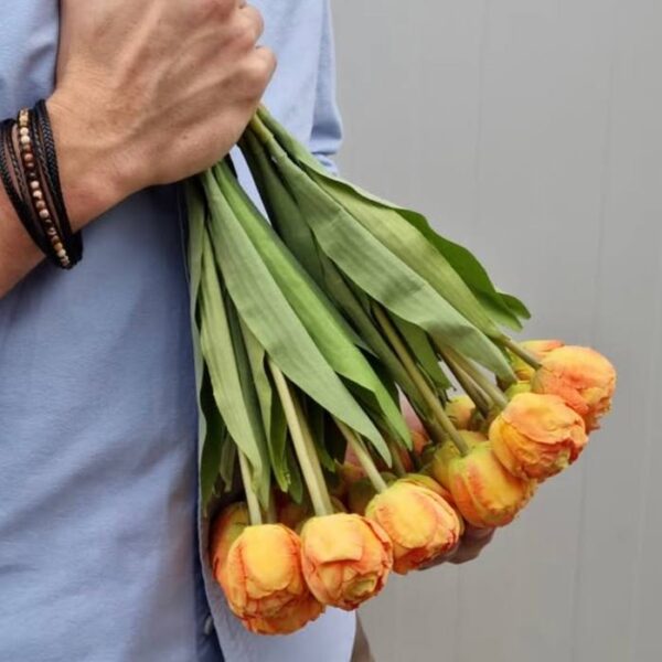 Тюльпан  піоновидний жовтий