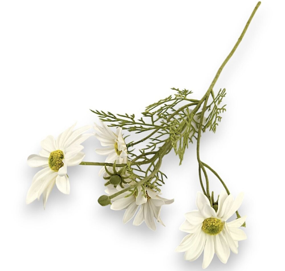 Гілка Ромашки Гелева