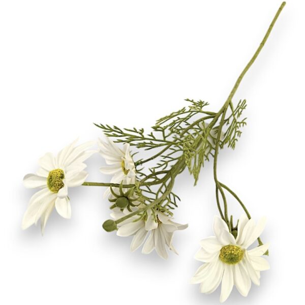 Гілка Ромашки Гелева