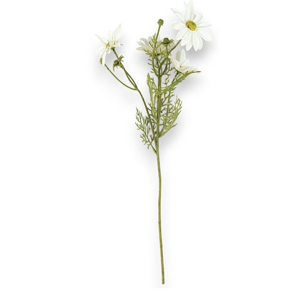 Гілка Ромашки Гелева - Зображення 2
