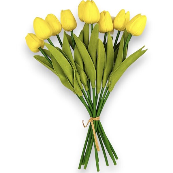 Тюльпан  жовтий