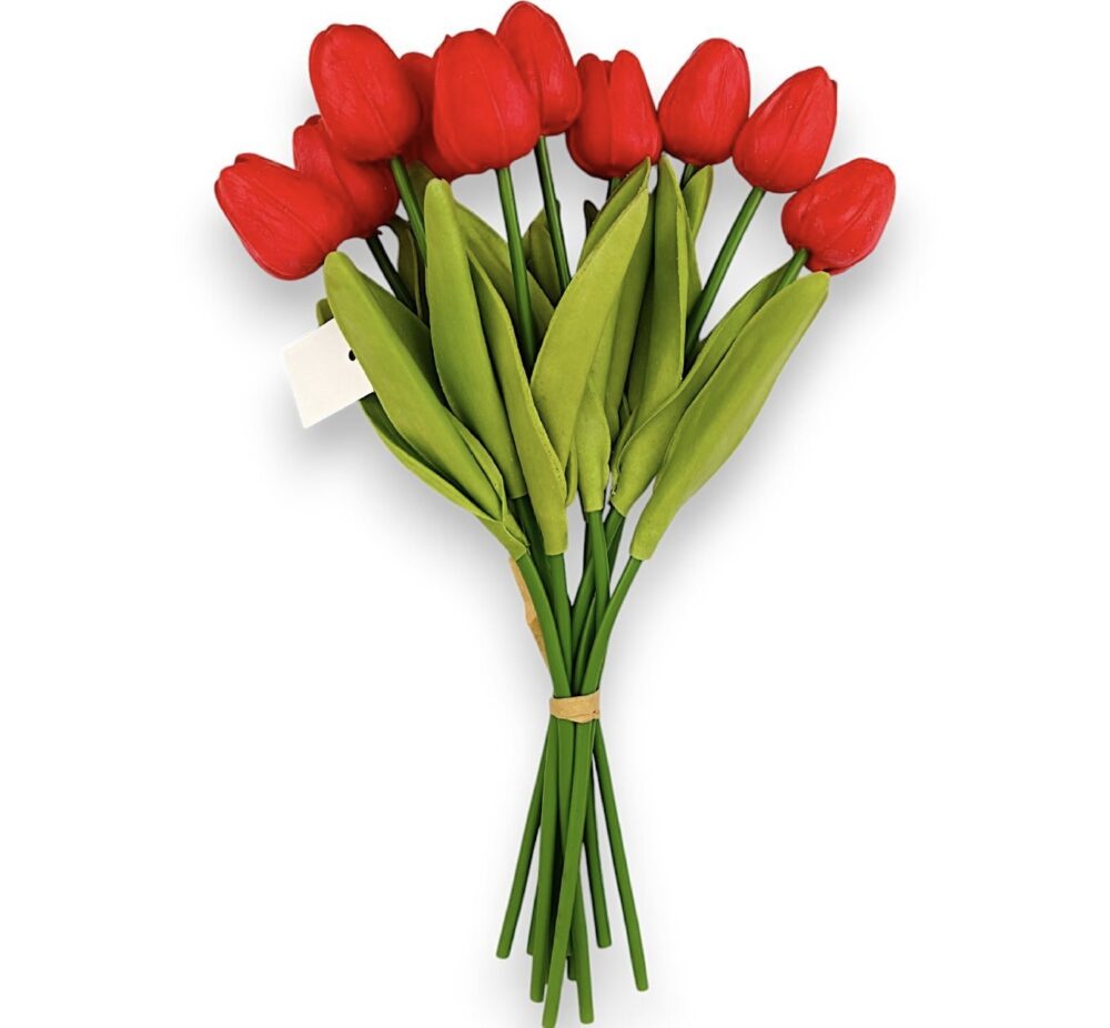 Тюльпан  червоний