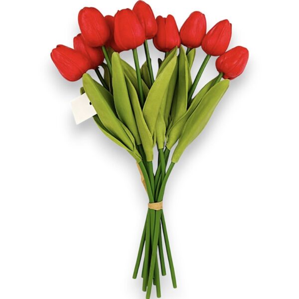 Тюльпан  червоний