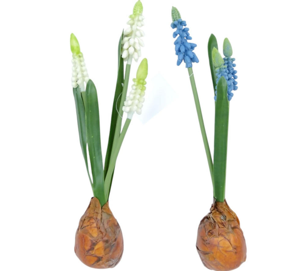 Букет Мускарі Гелевий Голубий