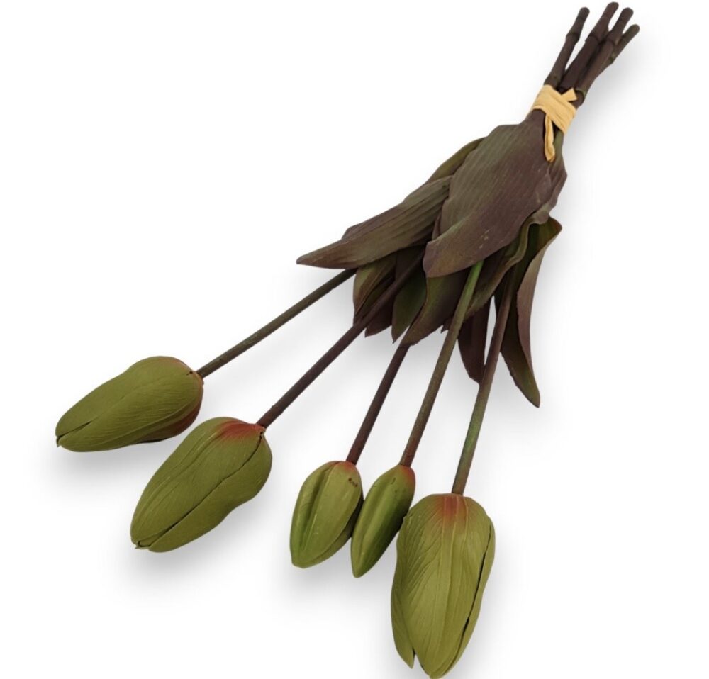 Тюльпан Real Touch зелений