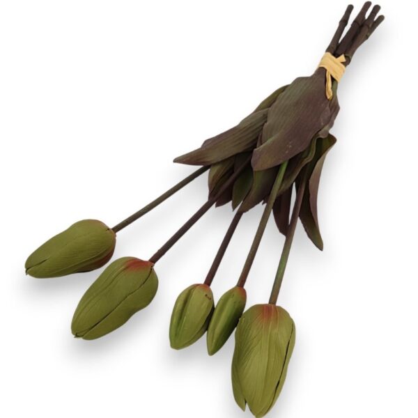 Тюльпан Real Touch зелений