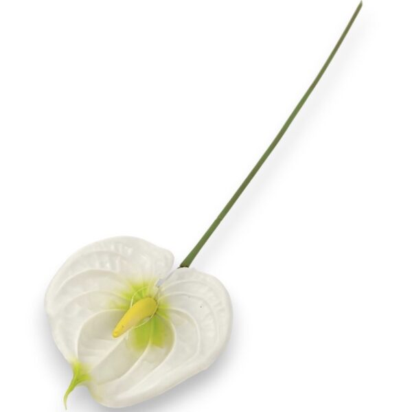 Антуріум  білий (Real Touch)