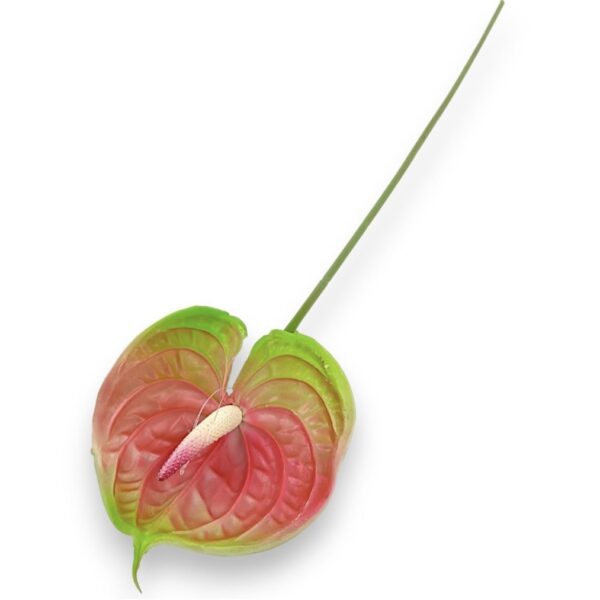 Антуріум  коралова (Real Touch)