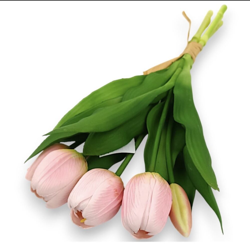 Тюльпан класичний рожевий