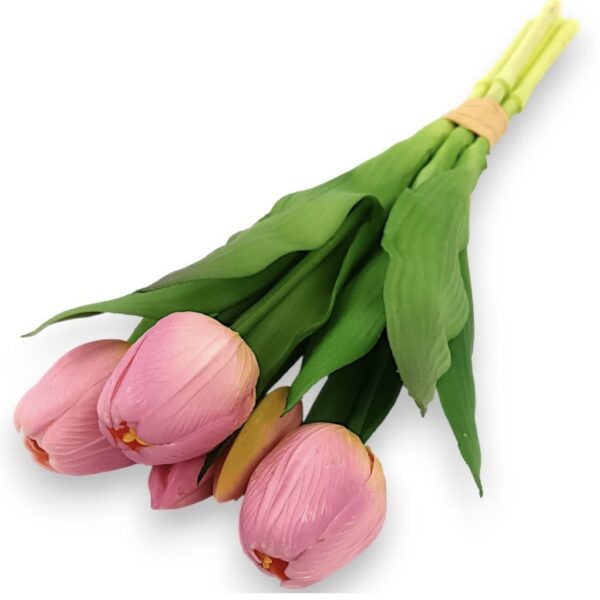 Тюльпан класичний насичено-рожевий