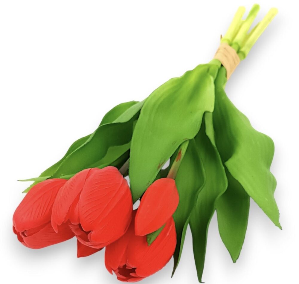 Тюльпан класичний червоний