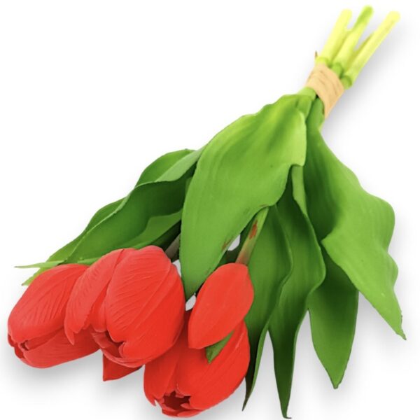 Тюльпан класичний червоний