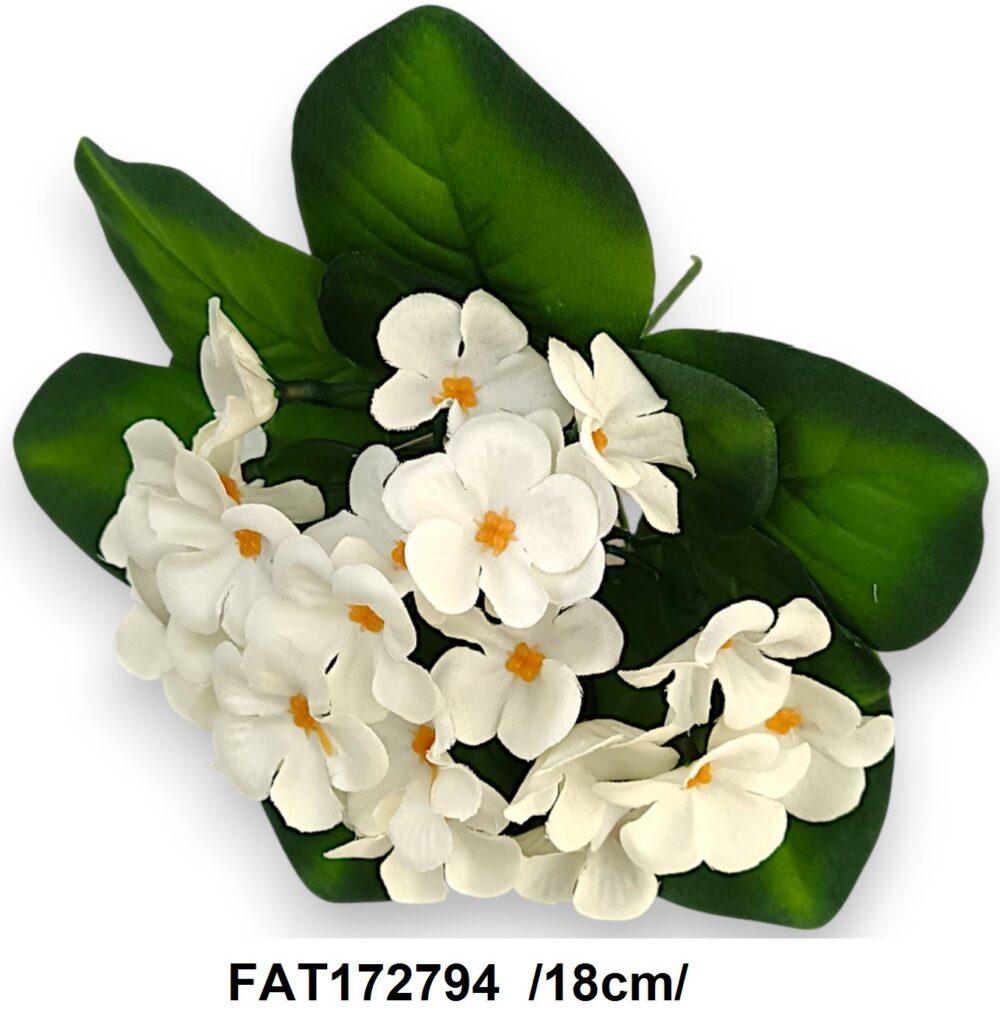 Фіалка (Сенполія) Штучна біла