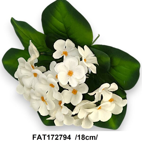 Фіалка (Сенполія) Штучна біла