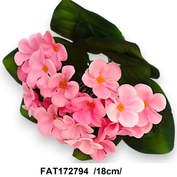 Фіалка (Сенполія) Штучна рожева