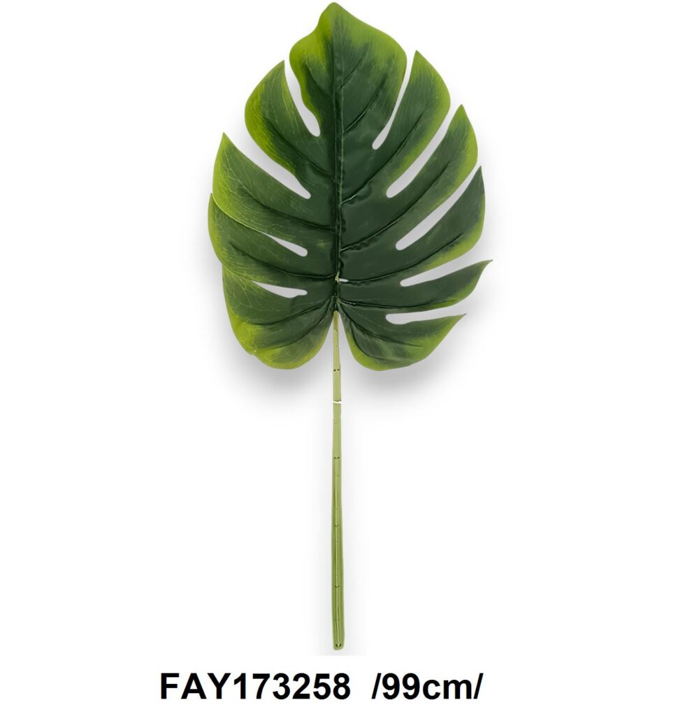 Лист Монстери «Jungle»