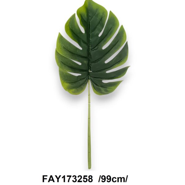 Лист Монстери «Jungle»