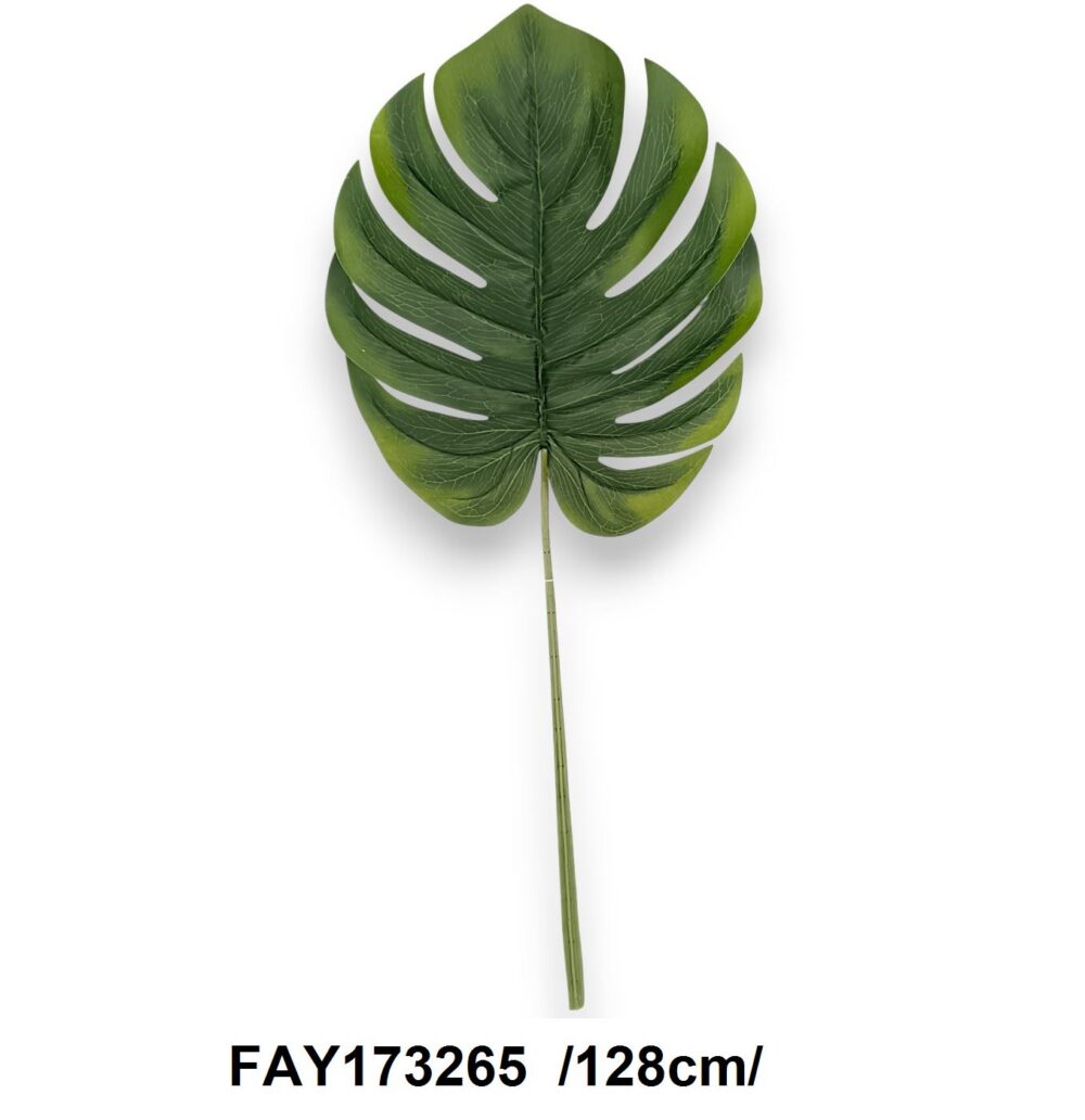 Лист Монстери «Jungle»