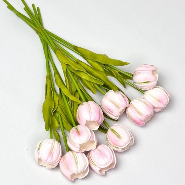 Тюльпан  рожеві