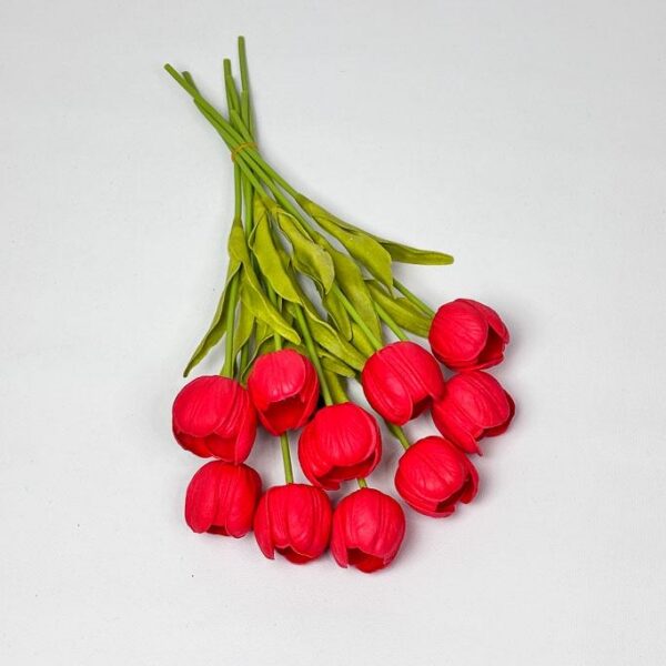 Тюльпан  червоні