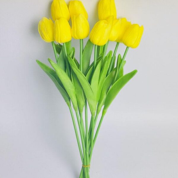 Тюльпан  жовтий