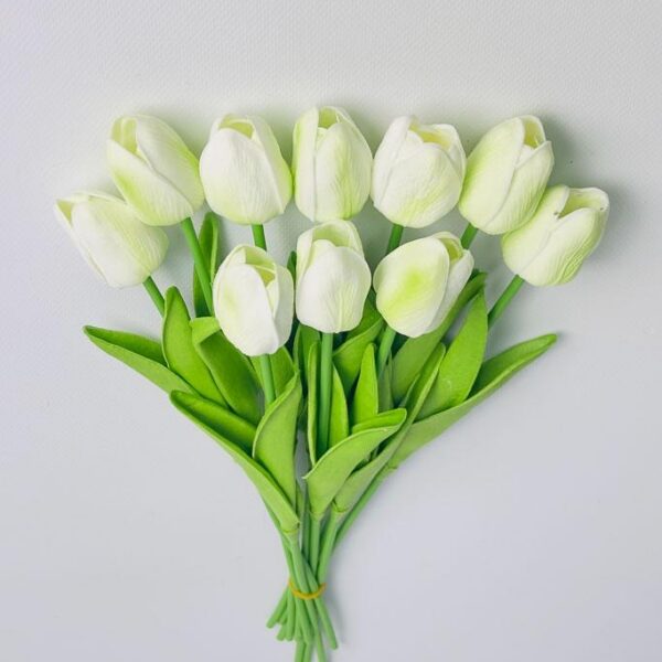 Тюльпан  салатовий