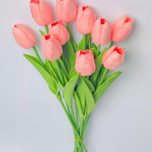 Тюльпан  рожевий