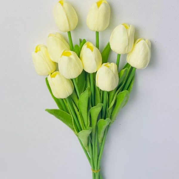 Тюльпан  світло-жовтий